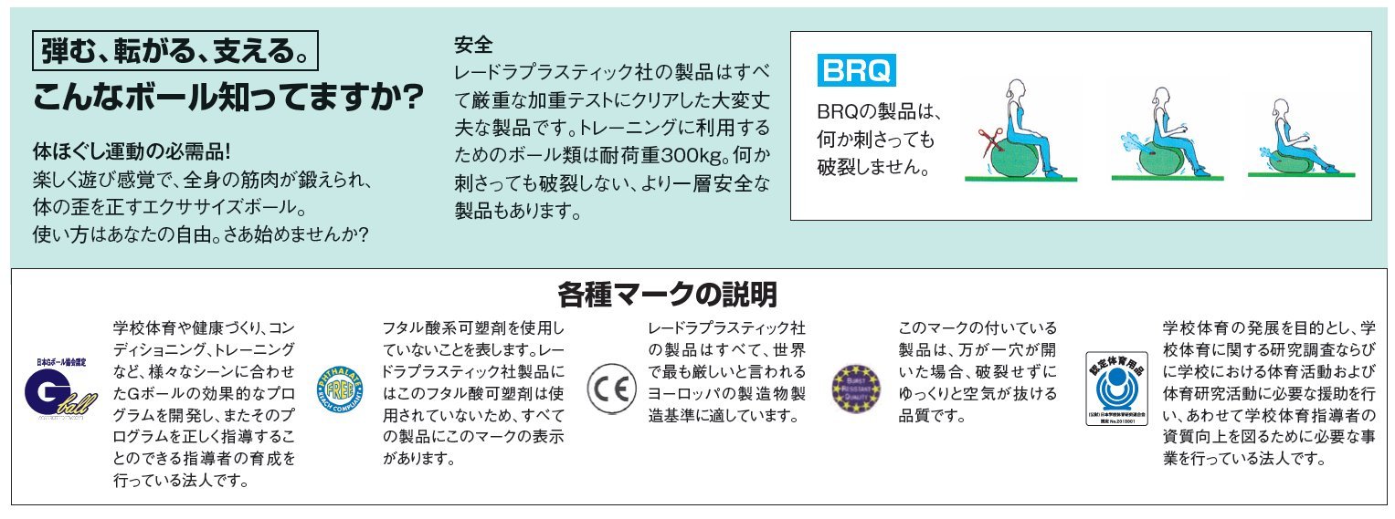 Amazon | ダンノ(DANNO) ギムニクカラーボールPLUS 55cm D5421R